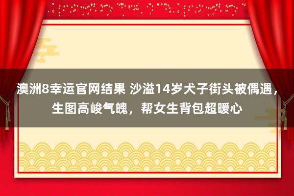 澳洲8幸运官网结果 沙溢14岁犬子街头被偶遇，生图高峻气魄，帮女生背包超暖心