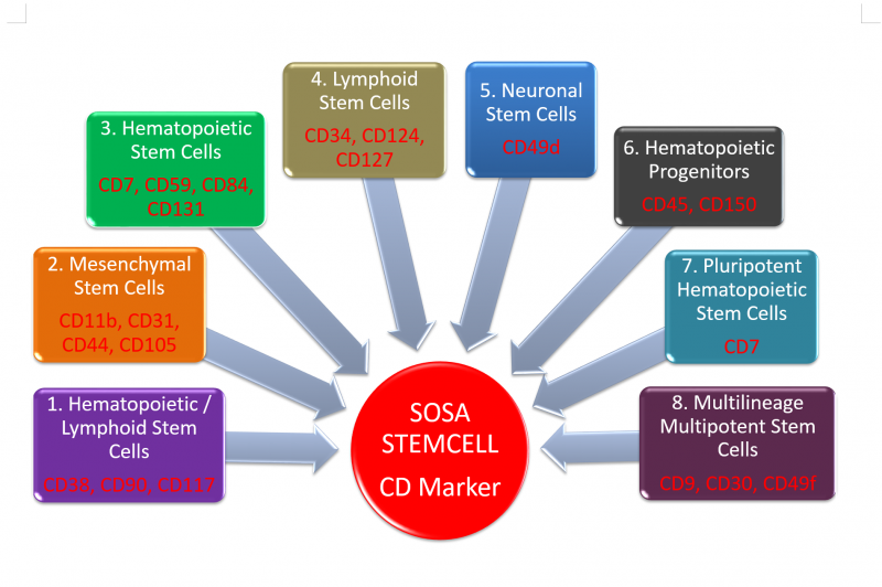SOSA STEMCELL 產品現有幹細胞之CD Marker
